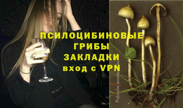 шишки Верхнеуральск