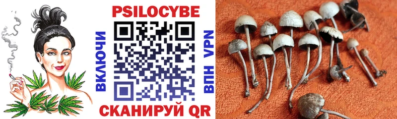 закладки  Воркута  Галлюциногенные грибы GOLDEN TEACHER 